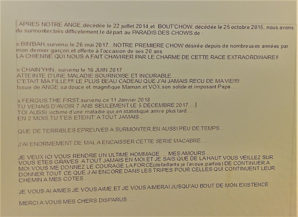 du marais aux lièvres - LE SORT S'ACHARNE......PERTES CRUELLES!!!!